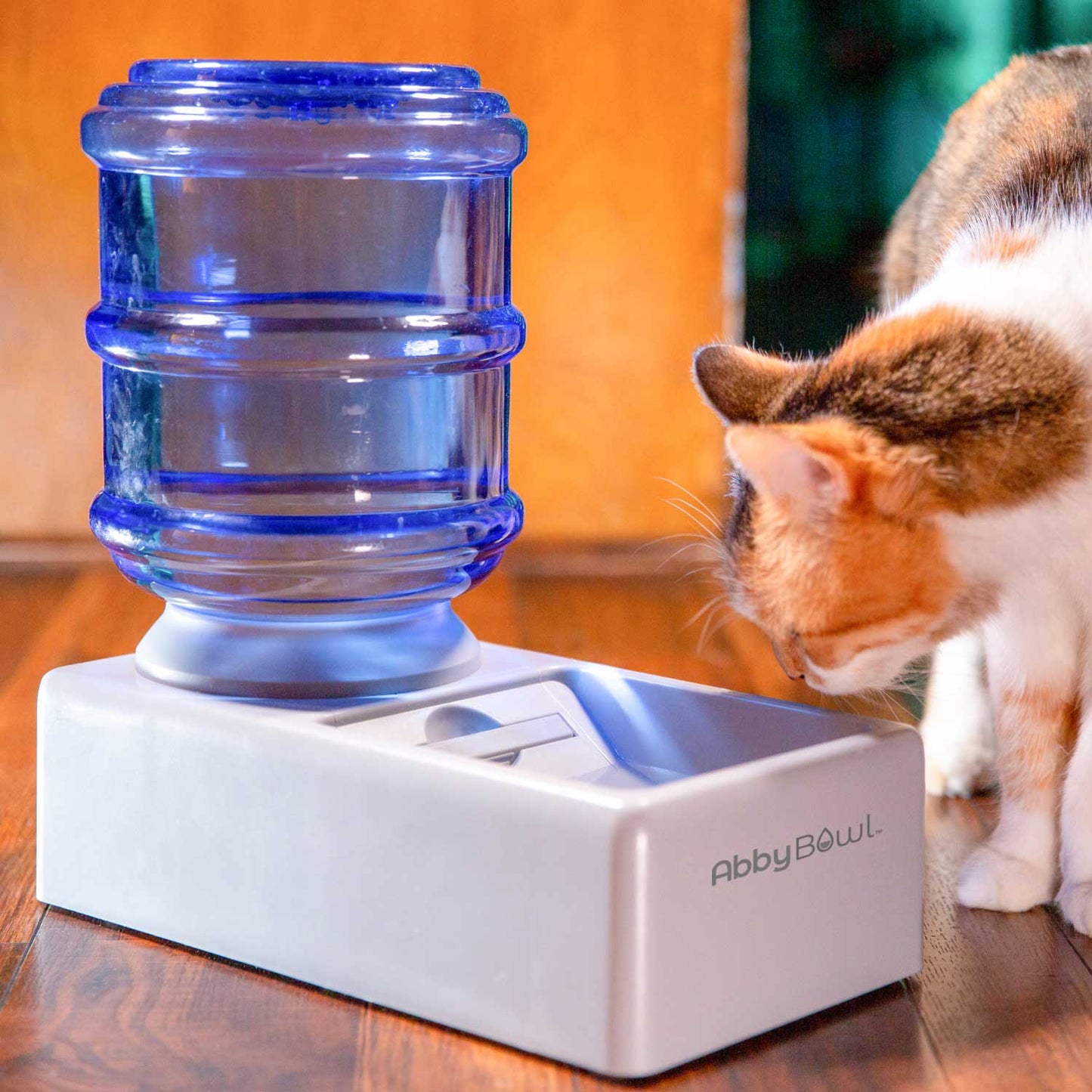 Abby Bowl™ Antioxidant Pet Water Bowl