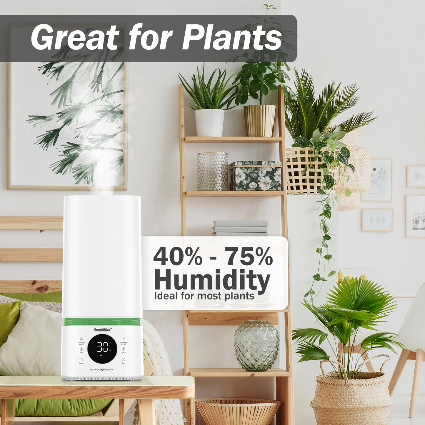 Natural Antioxidant H2 Humidifier