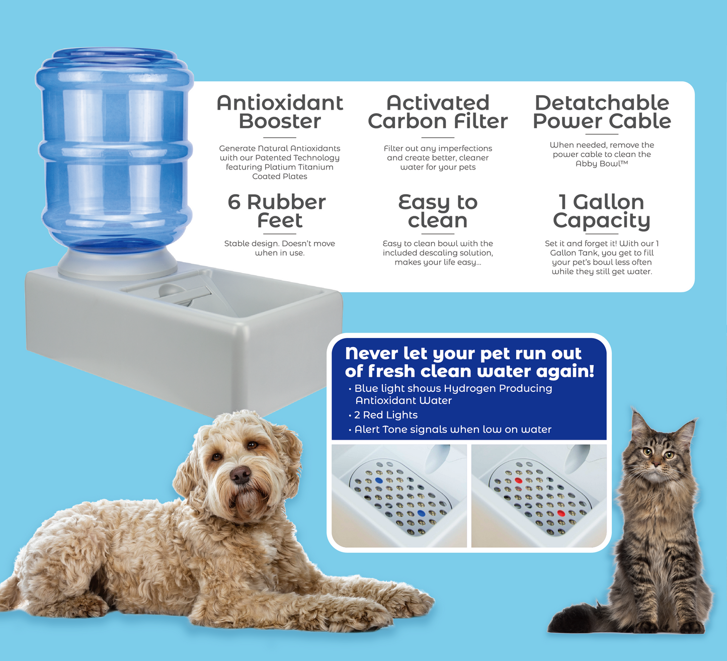 Abby Bowl™ Antioxidant Pet Water Bowl