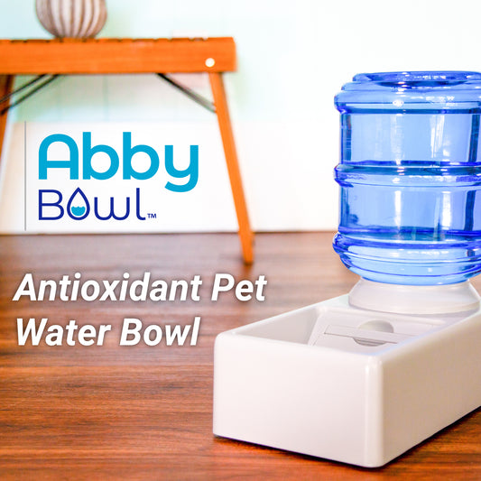 Abby Bowl™ Antioxidant Pet Water Bowl