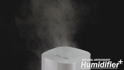 Natural Antioxidant H2 Humidifier